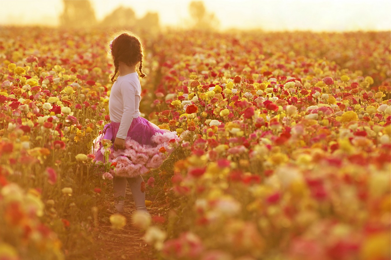 אושרית אברגיל