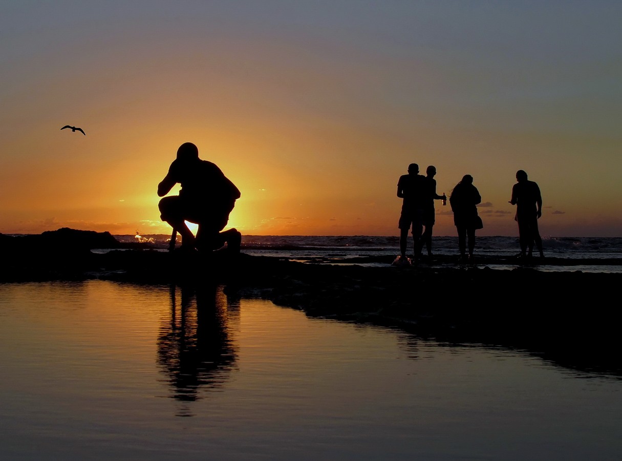 נאוה פמיליה
