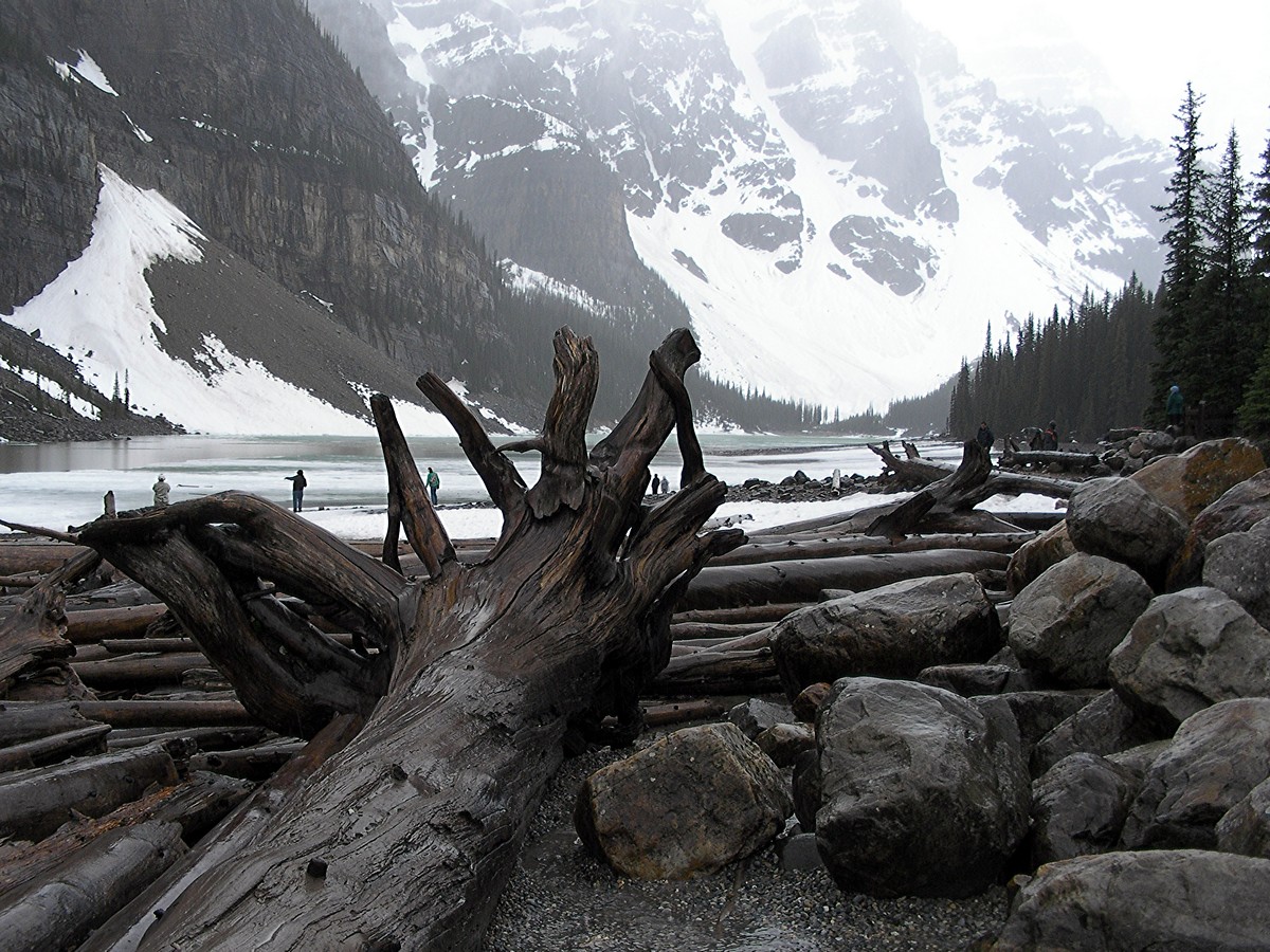 אהוד אורינובסקי