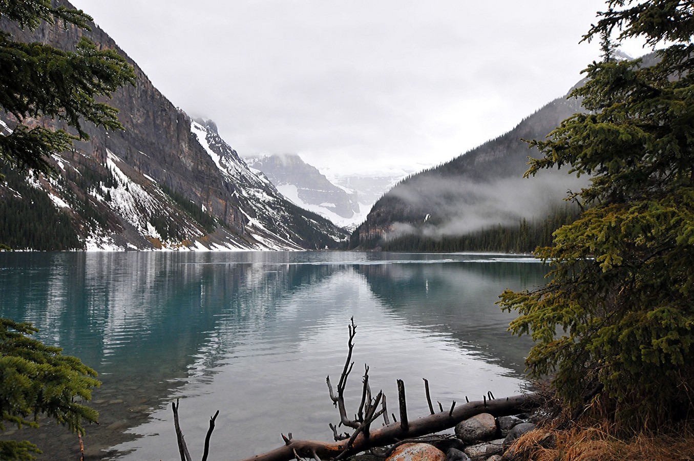 אהוד אורינובסקי