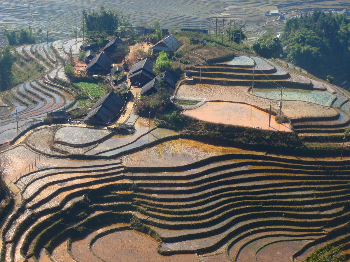 שרי חיימזון