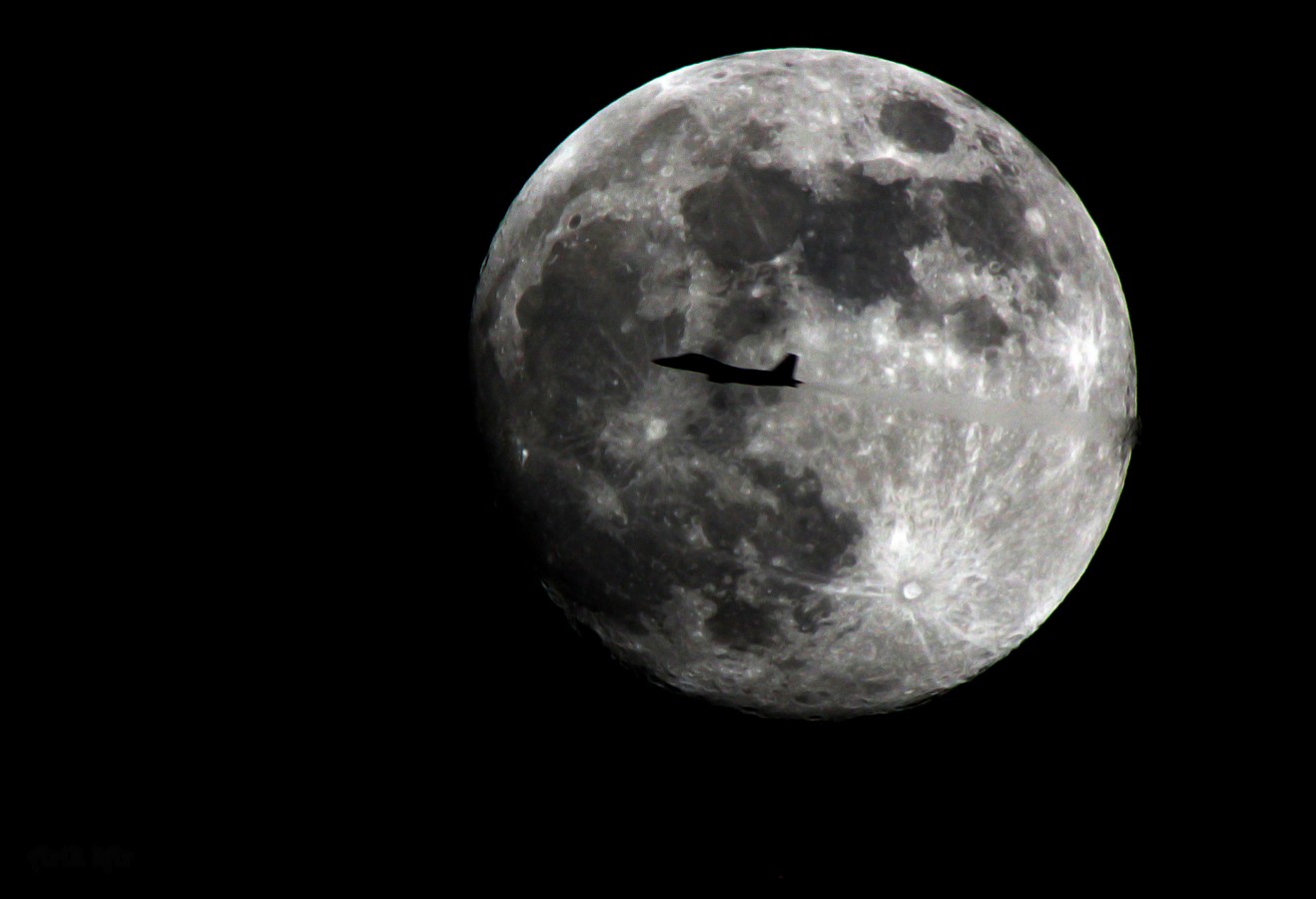 צילום: אריק כפיר