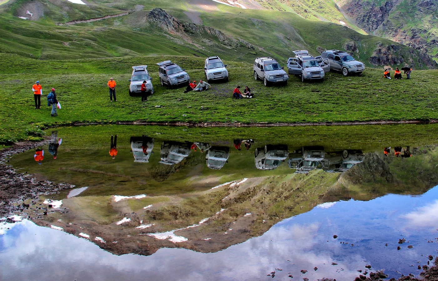 דרורה  בהרל 