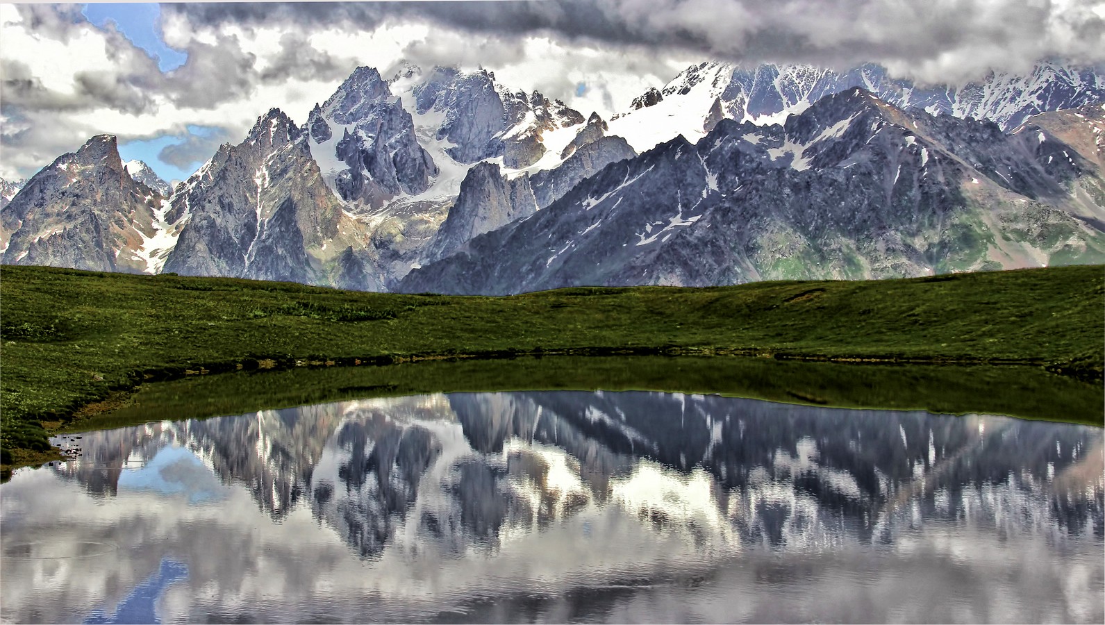 דרורה  בהרל 