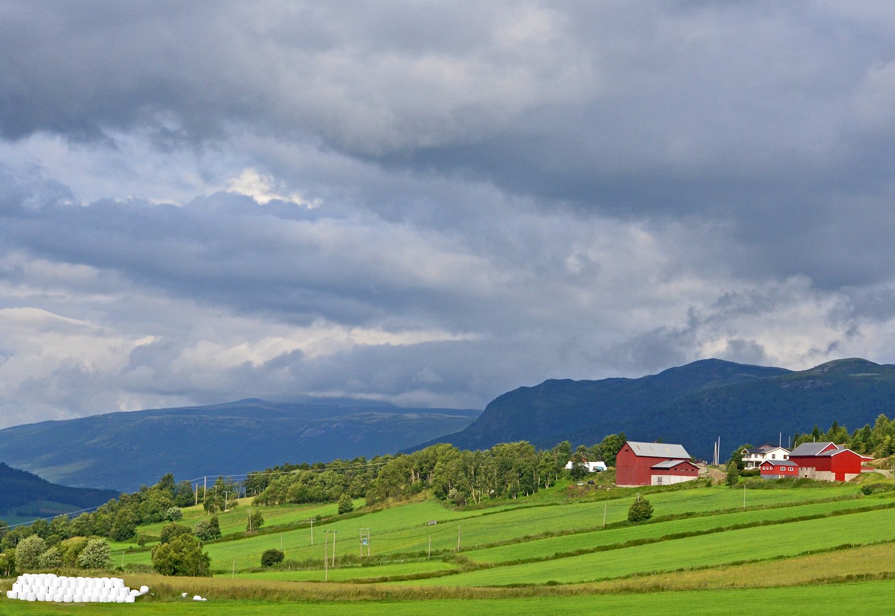 איציק איינהורן