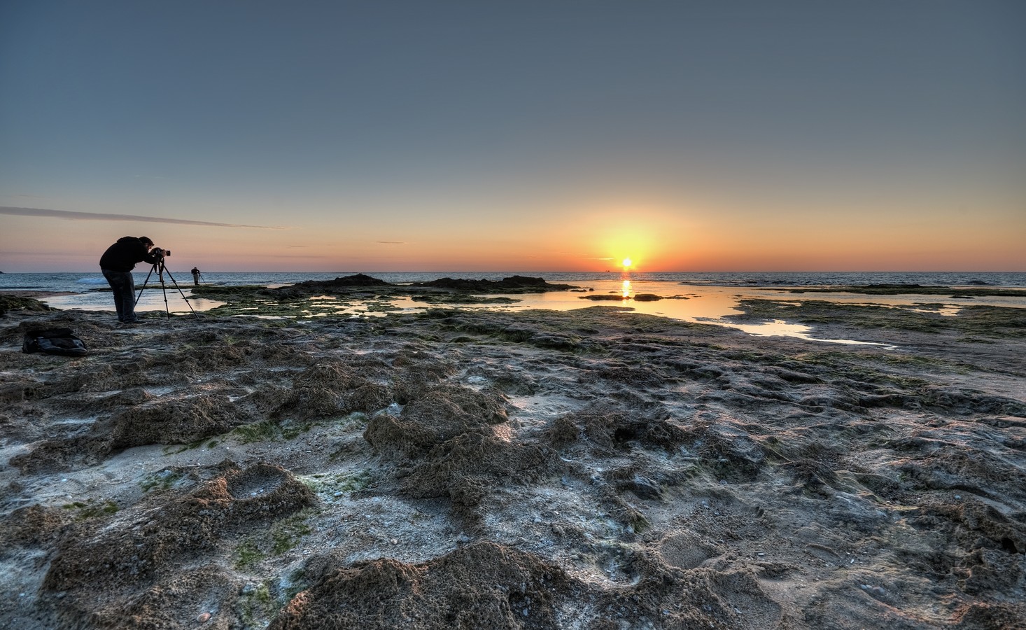 ‫שלום ניסימי‬‎