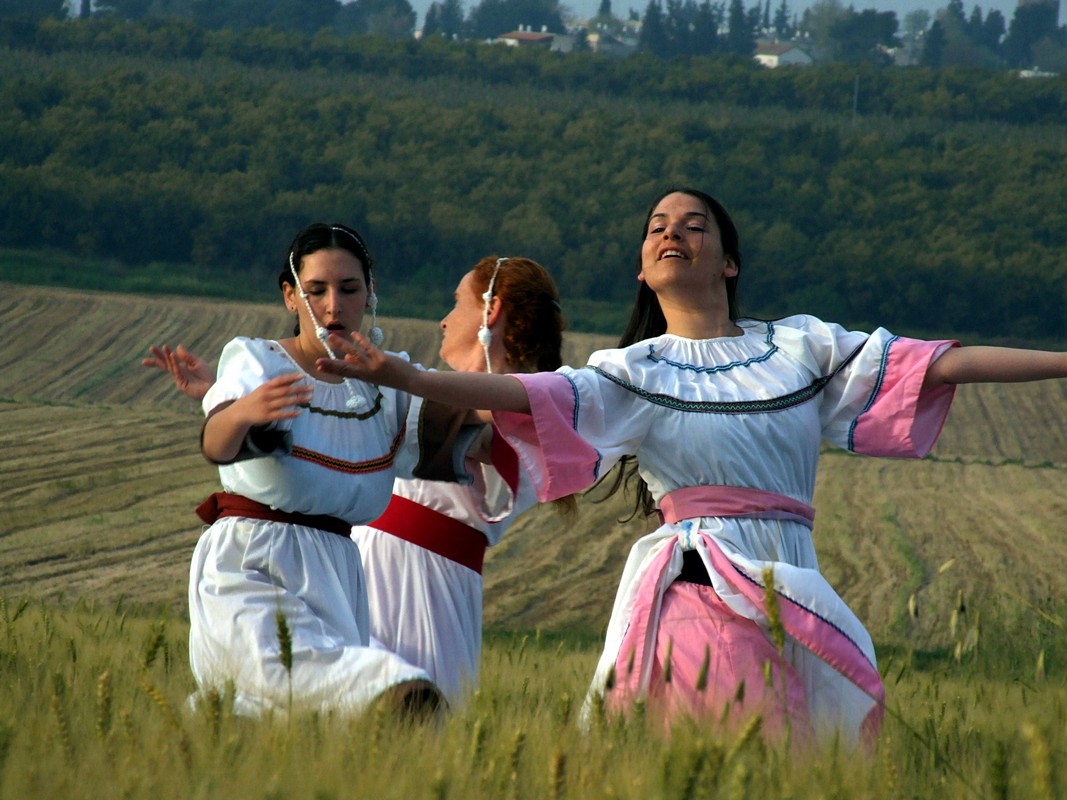 דורון מאירסדורף
