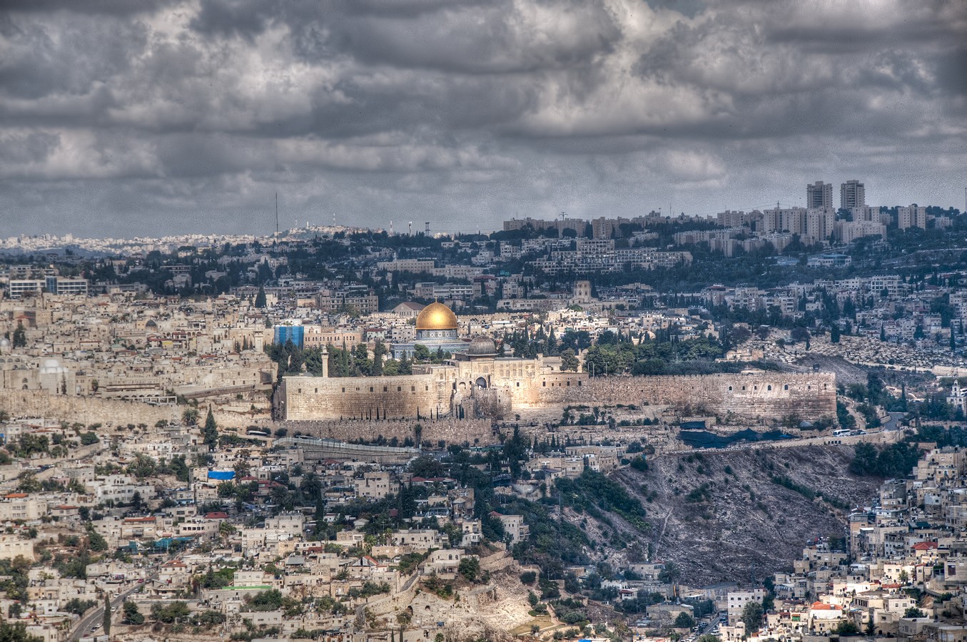 פיני  אביבי