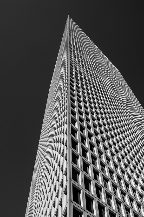 ימימה פלדמן