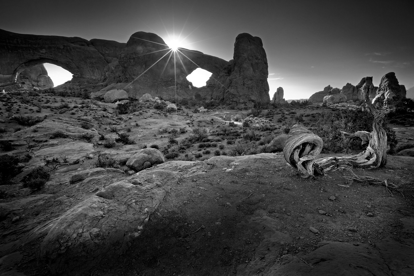 אמנון אייכלברג