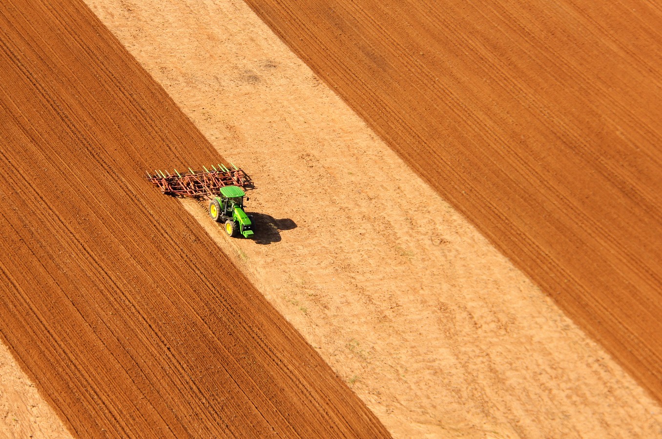 יגאל  סלבין