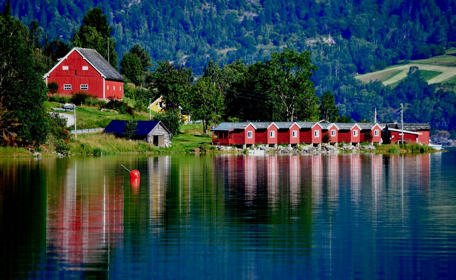איציק איינהורן