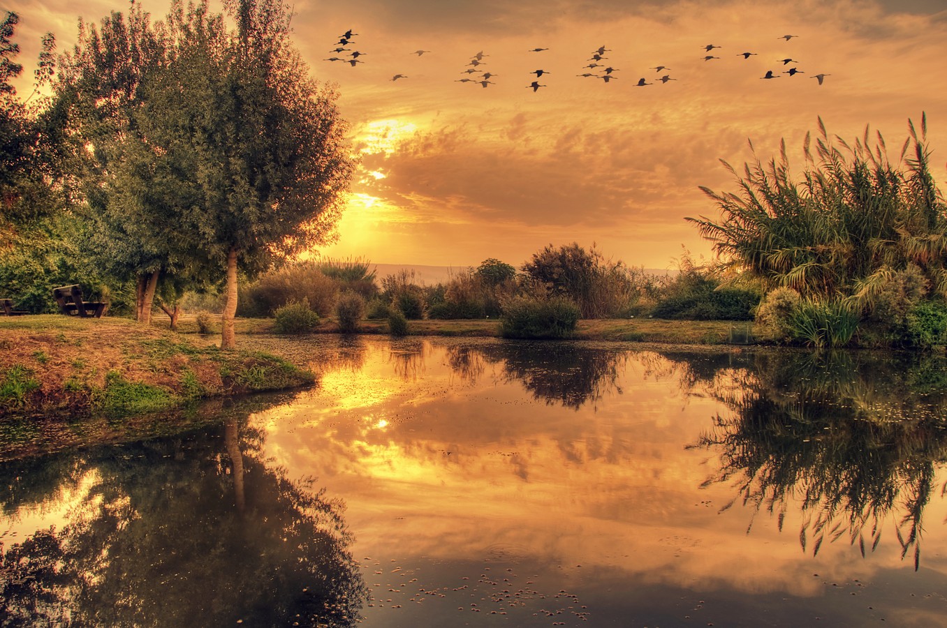 צילום: עמוס דדון