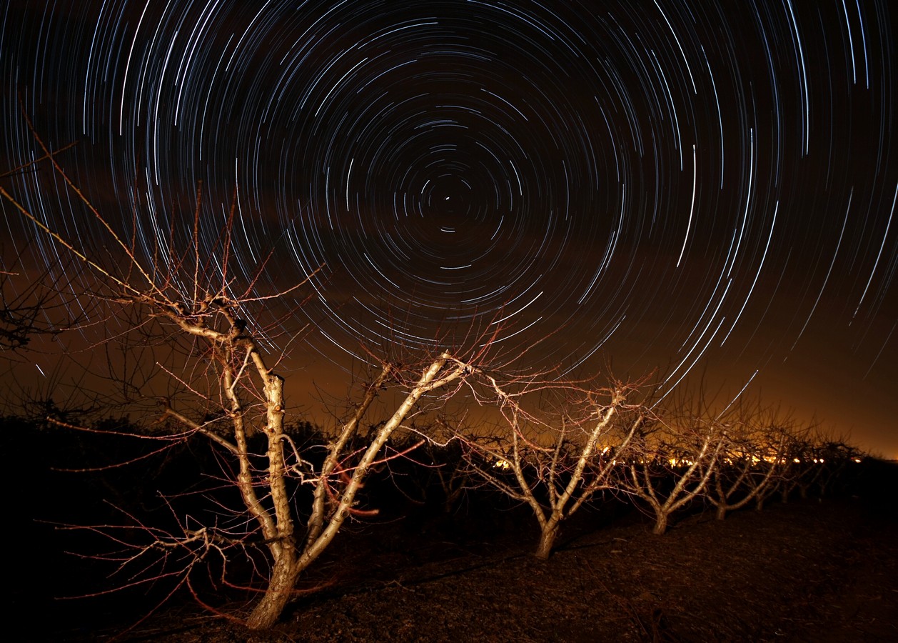 אביגדור קסטנבוים