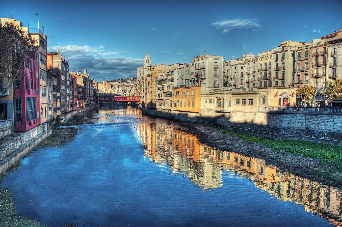 פיני  אביבי