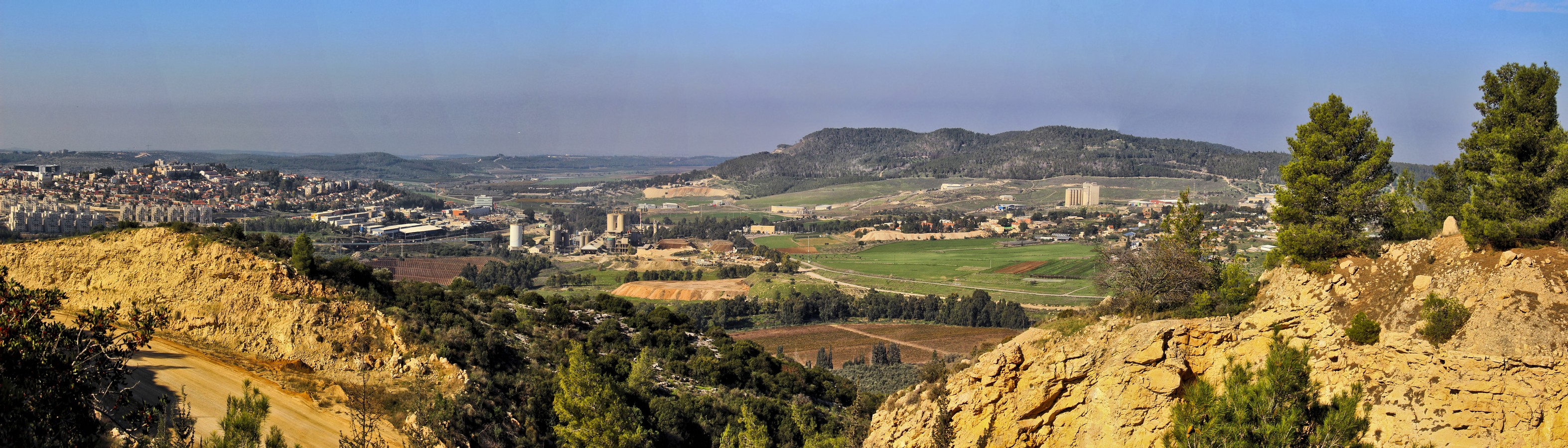 דרורה  בהרל 