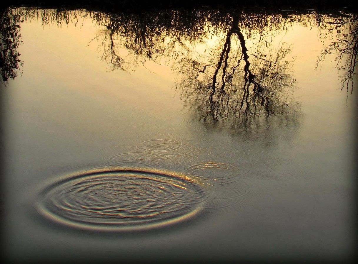 נאוה פמיליה