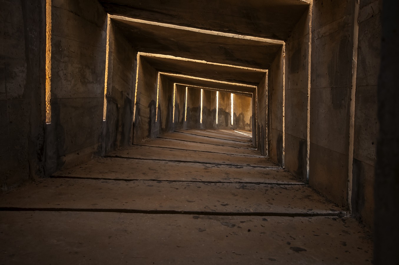 חיים אוחיון