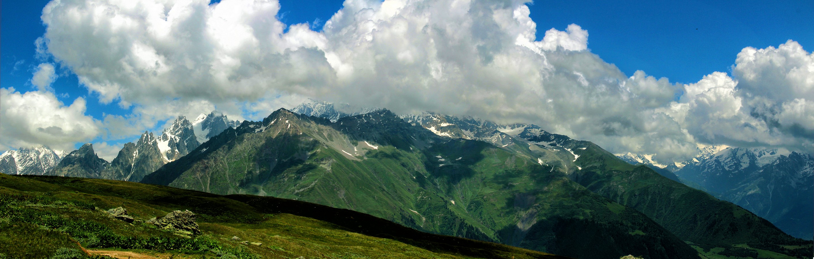 דרורה  בהרל 