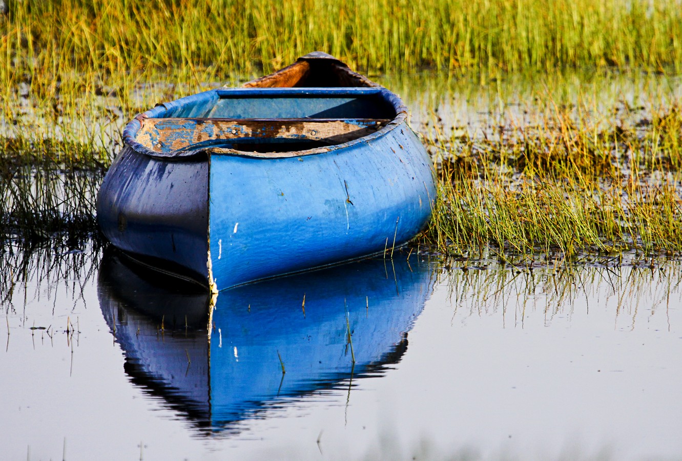 מיכל דה פורטו