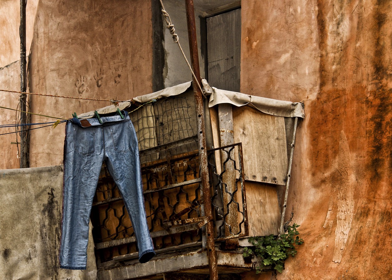 דרורה  בהרל 