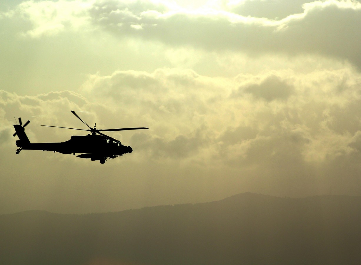 צילום: שי מדרר