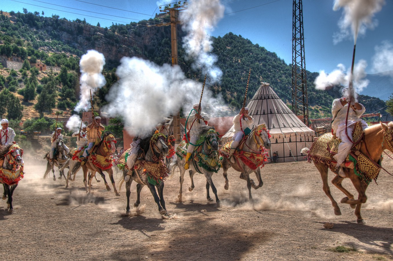 פיני  אביבי