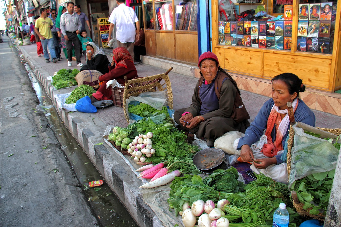 דרורה  בהרל 