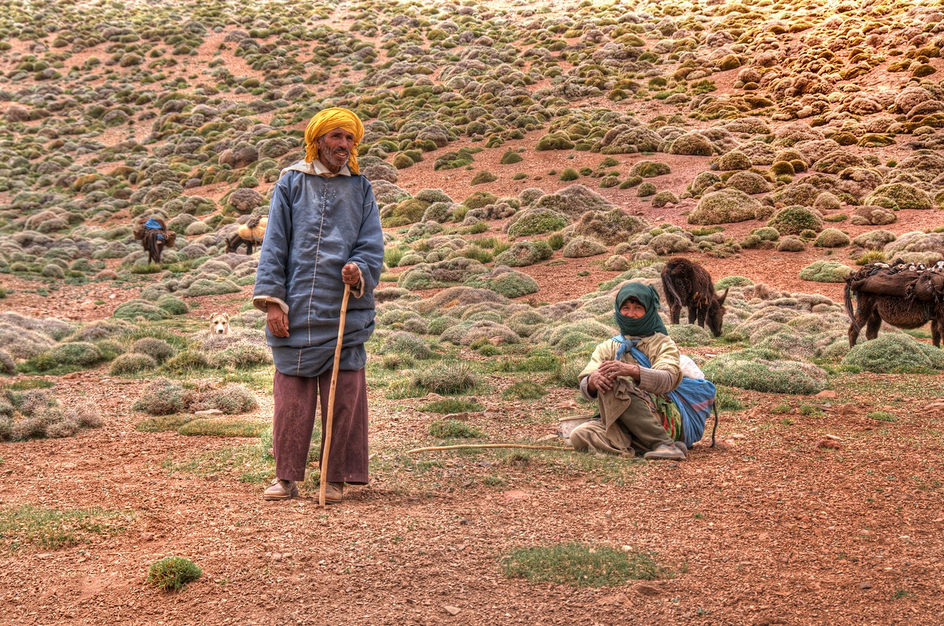 פיני  אביבי