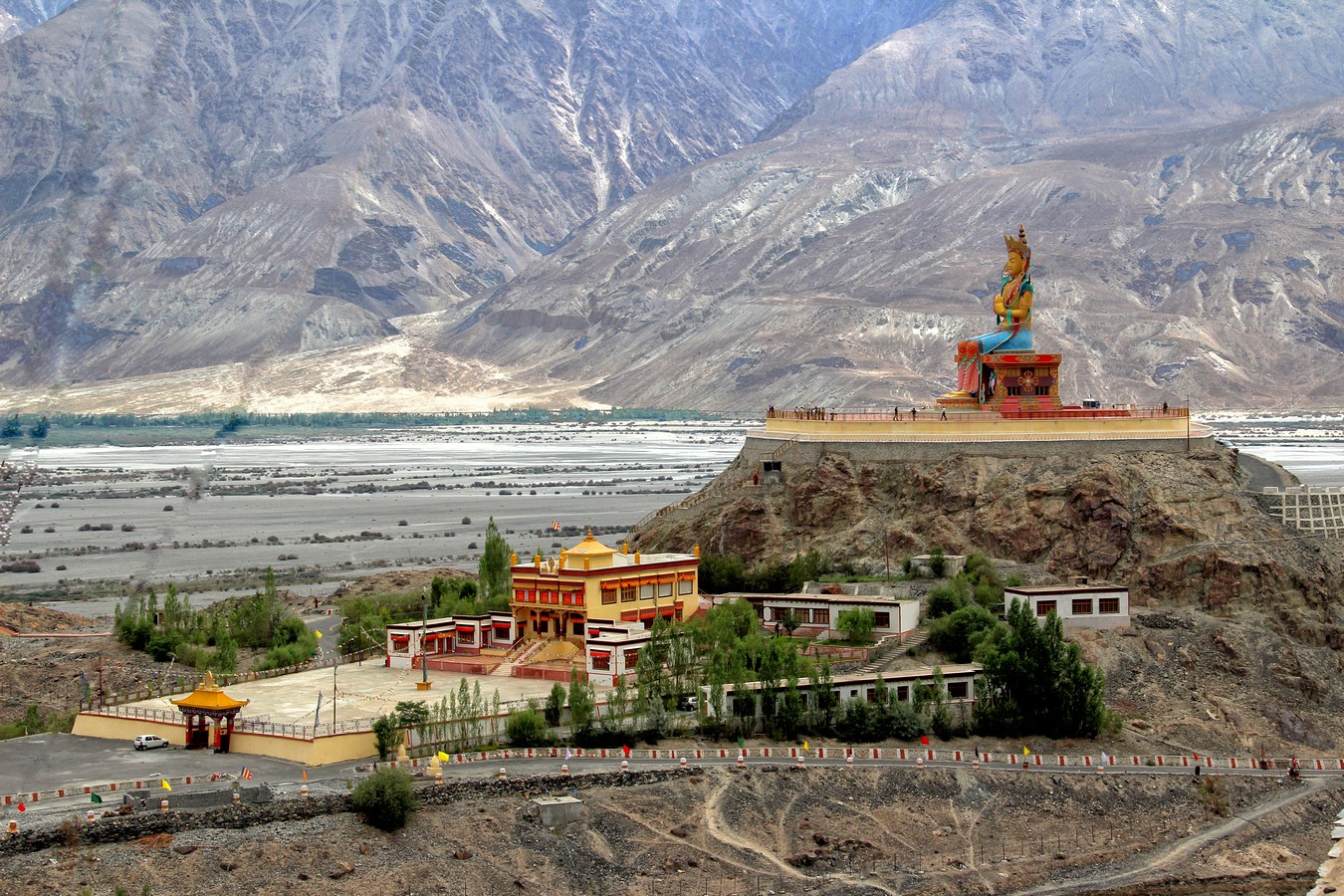 דרורה  בהרל 