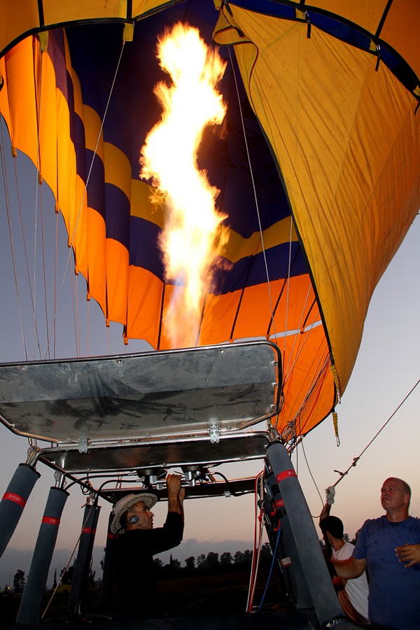זאב מנדלוביץ