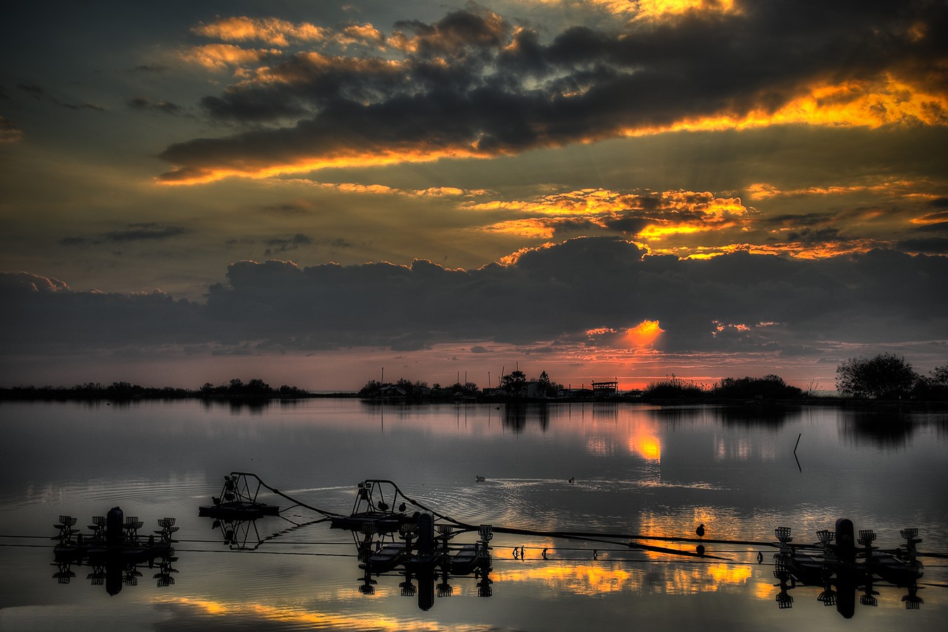אייל אלקלעי