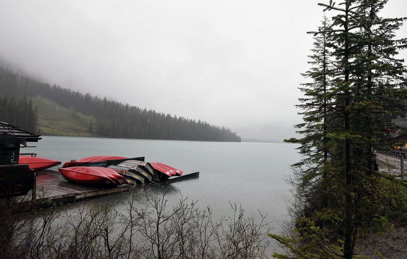 אהוד אורינובסקי