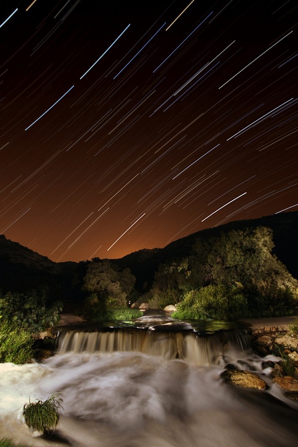 אביגדור קסטנבוים