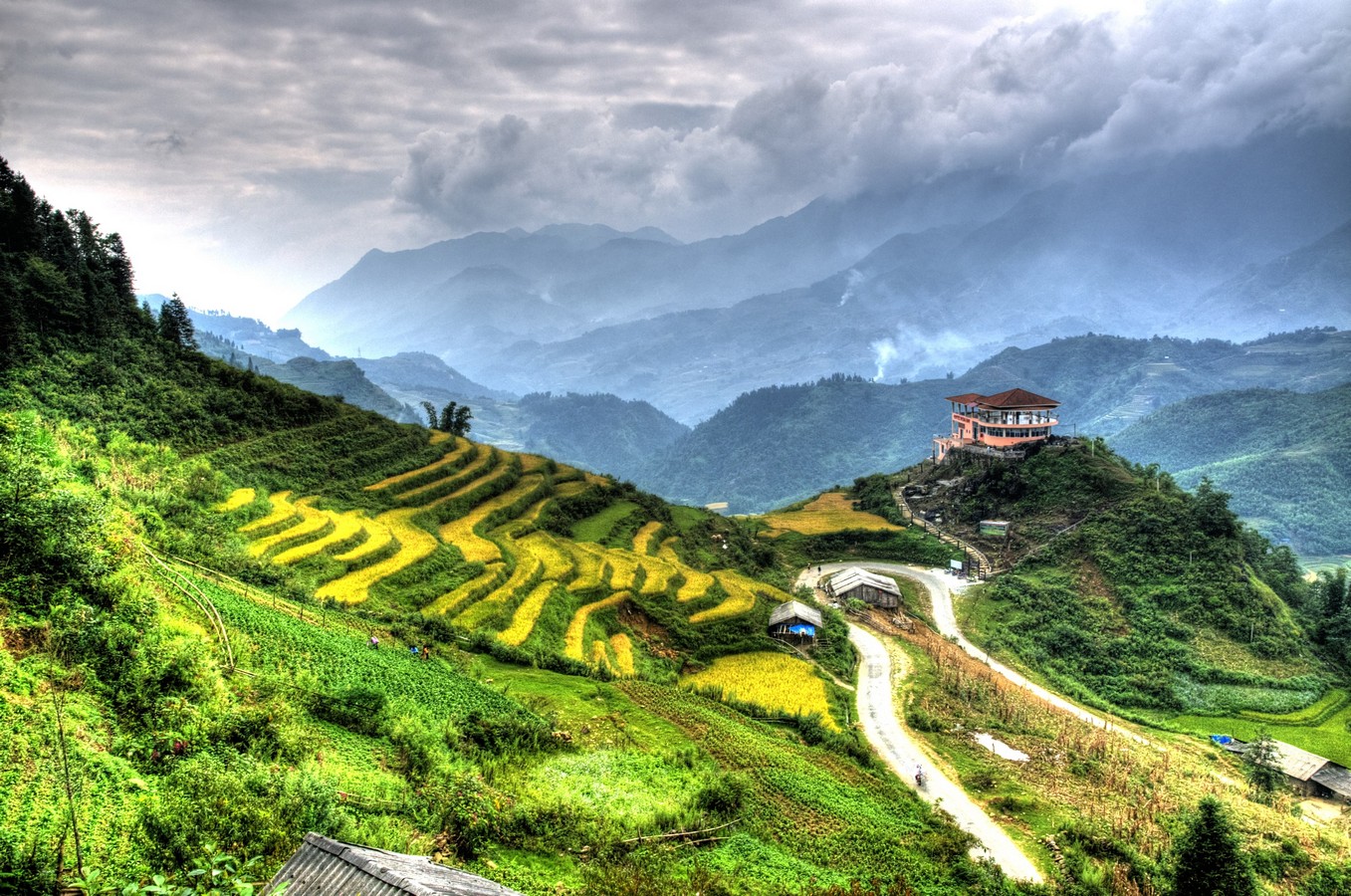 חיים אוחיון