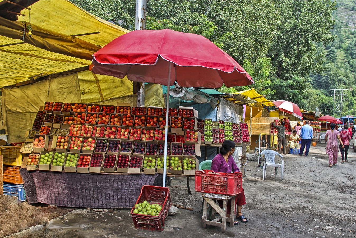 דרורה  בהרל 