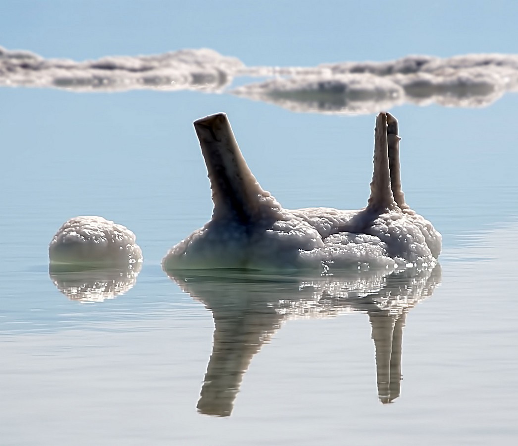 חיים אוחיון