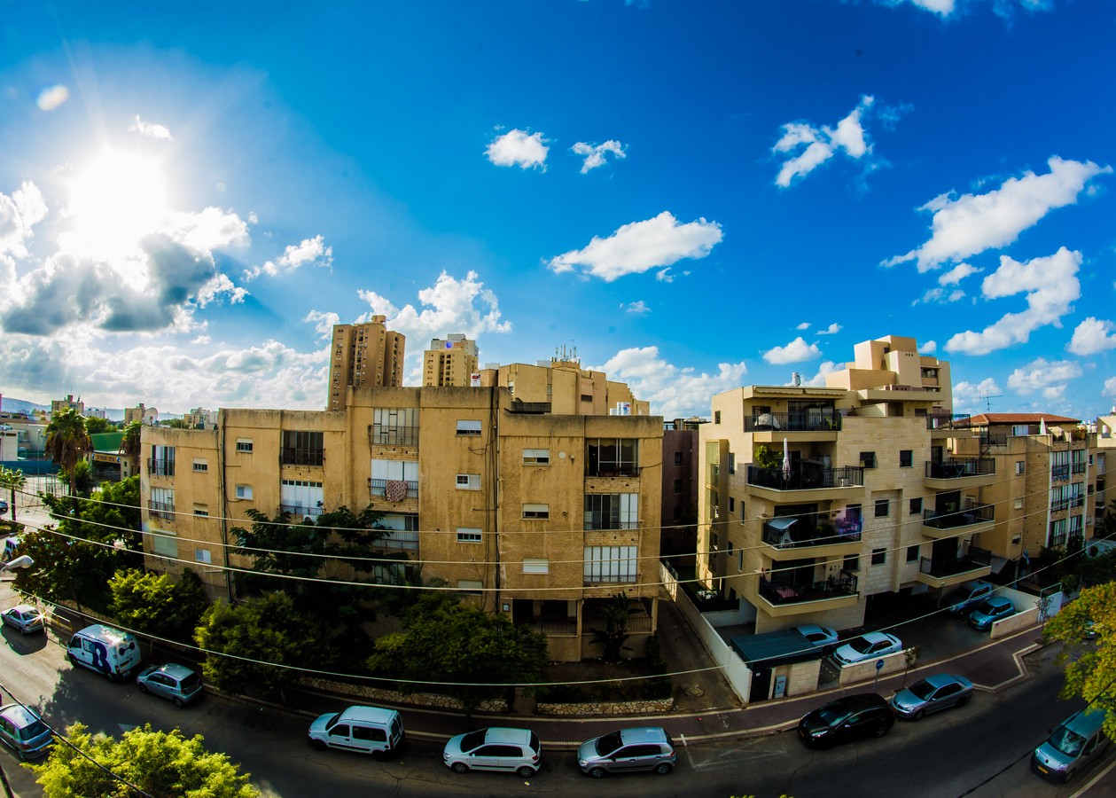 ימימה פלדמן