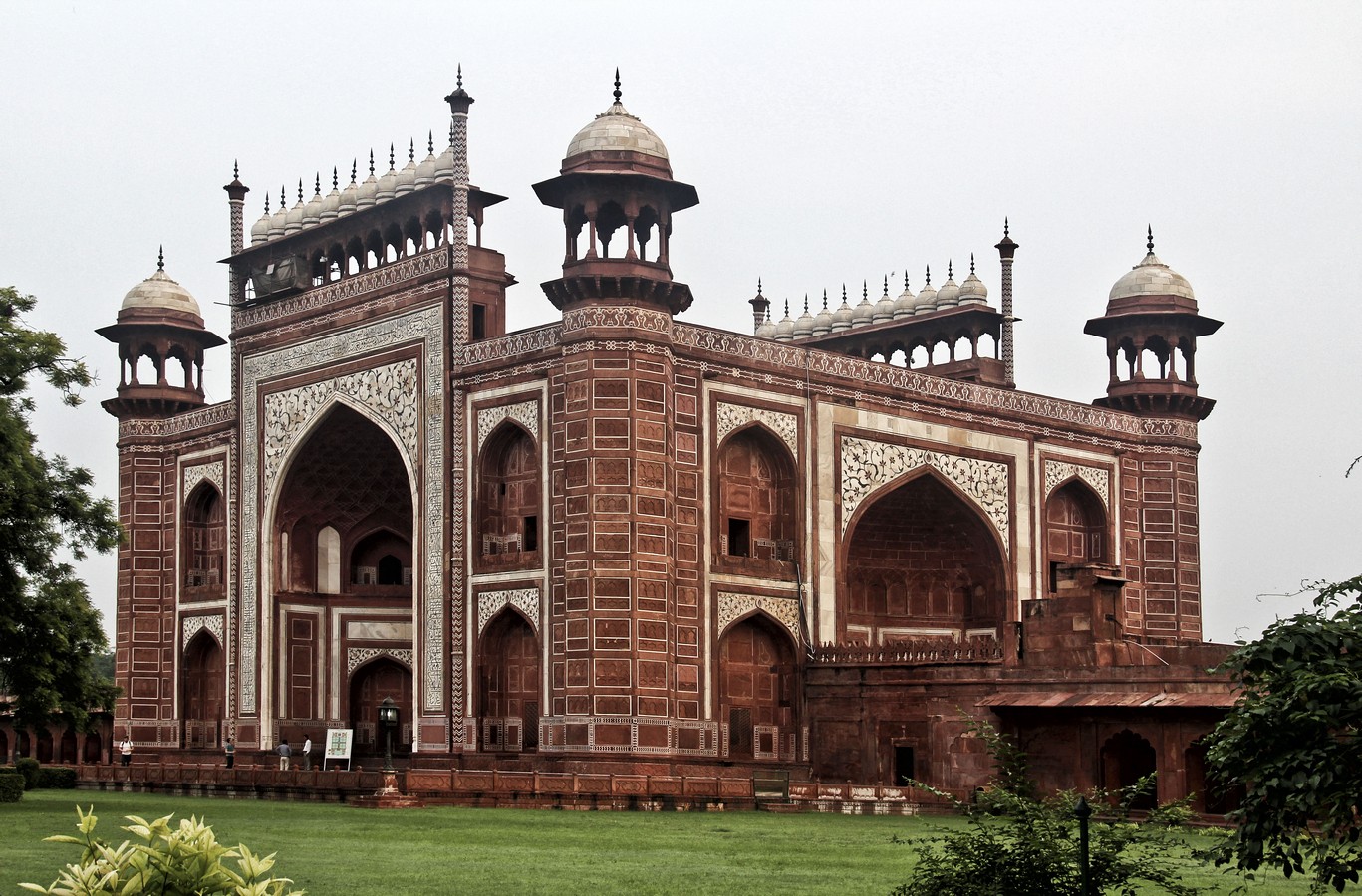 דרורה  בהרל 