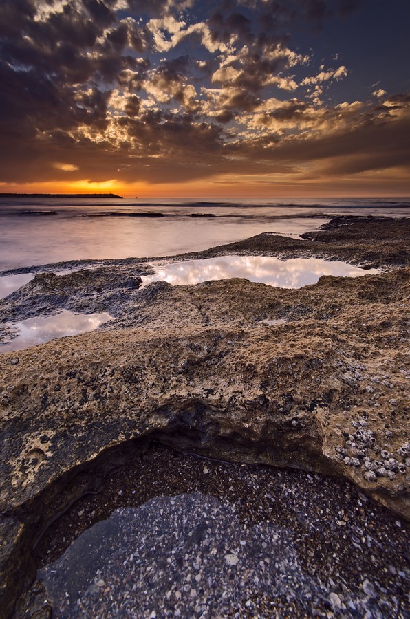 אביב מייסטר