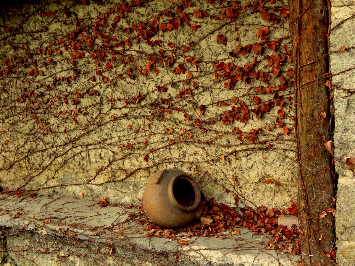 נורית פרידנטל