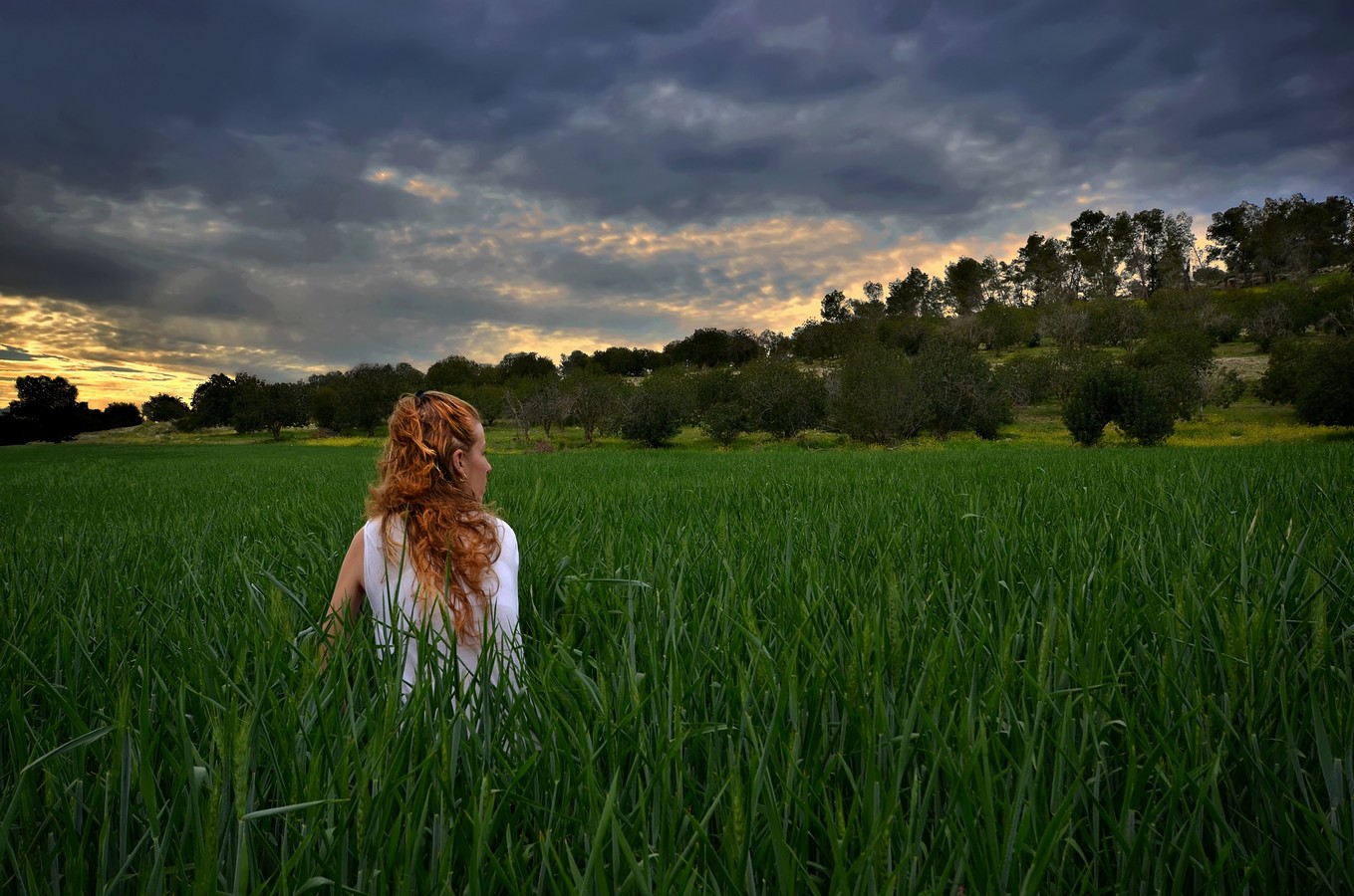 ‫שלום ניסימי‬‎