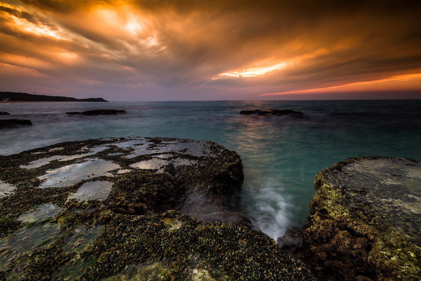 חזי גולדנברג