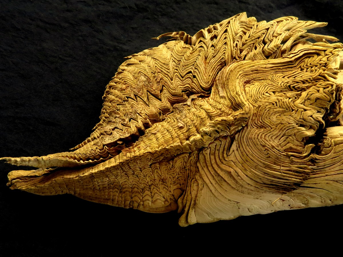 נורית פרידנטל