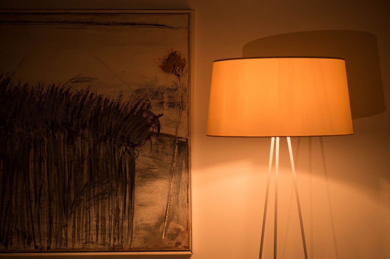 צילום: יהושע רעיף