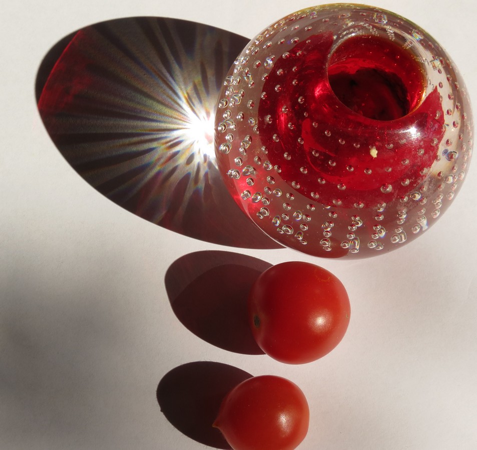 נורית פרידנטל