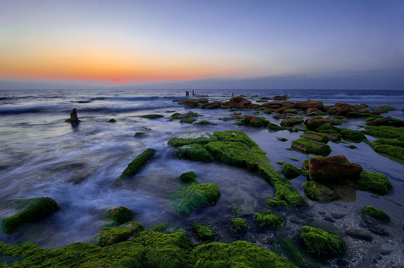 סמי  חזקיהו