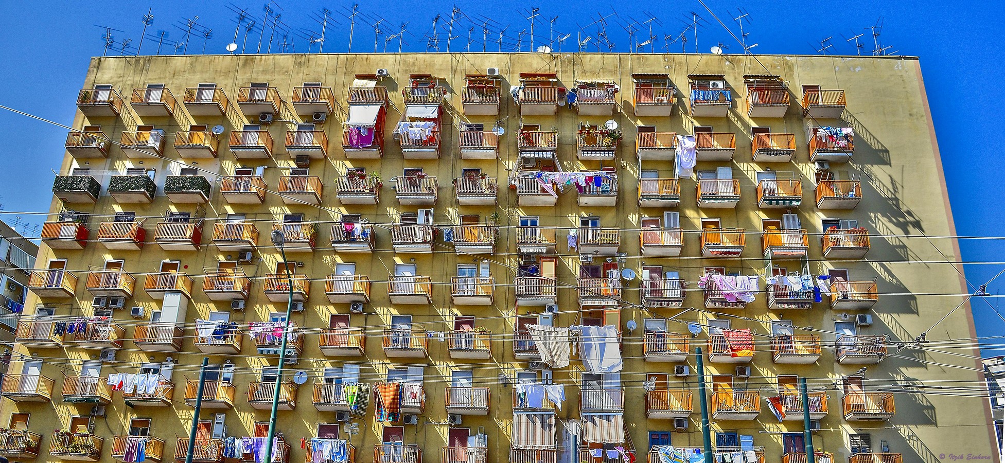 איציק איינהורן