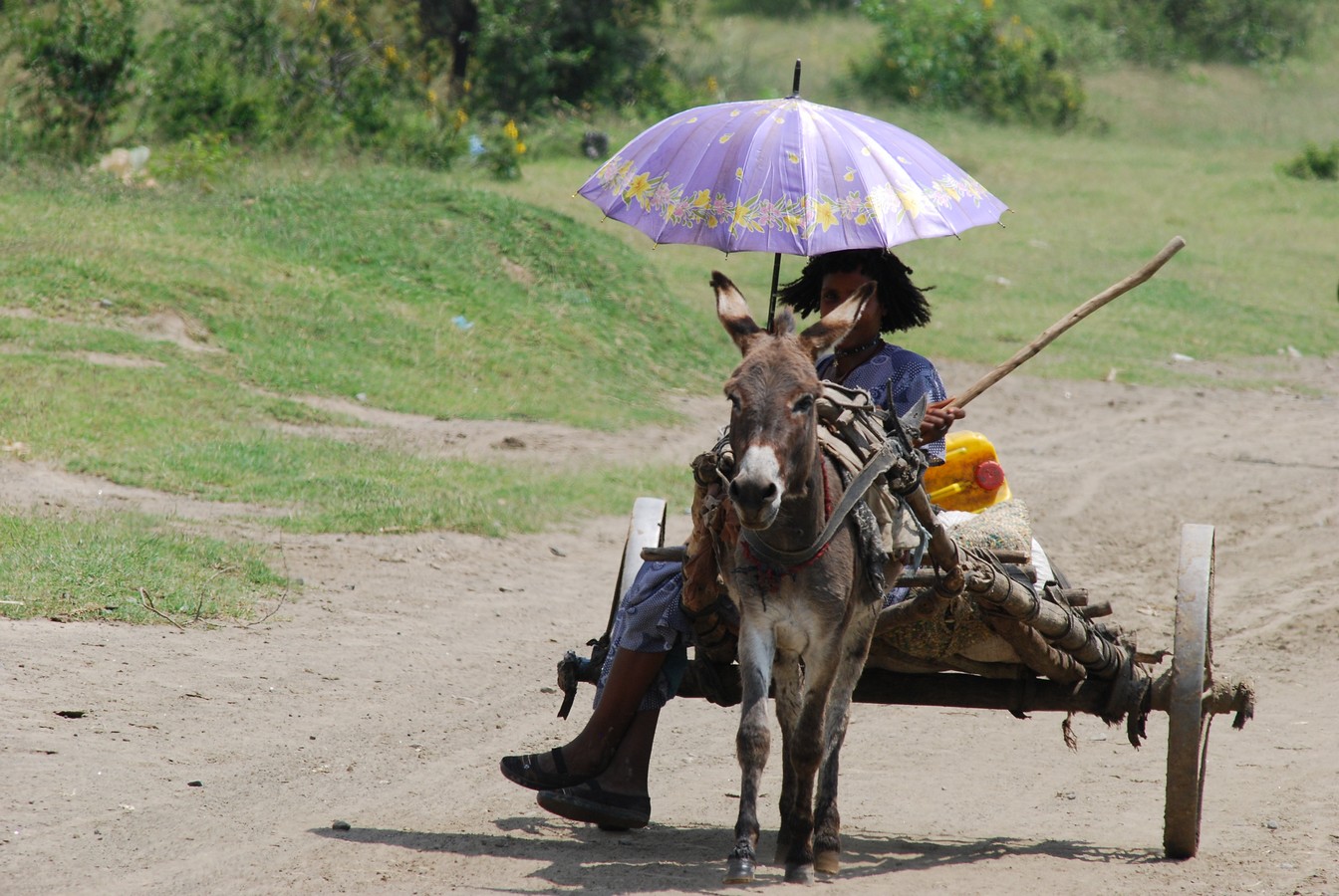 אהוד אורינובסקי