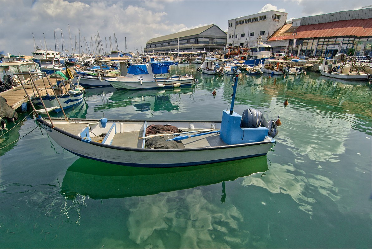 סמי  חזקיהו